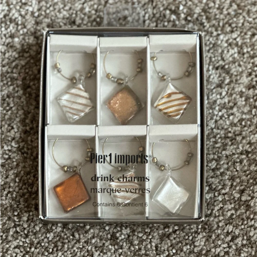 Pier 1 Imports Drink Charms Set of 6
